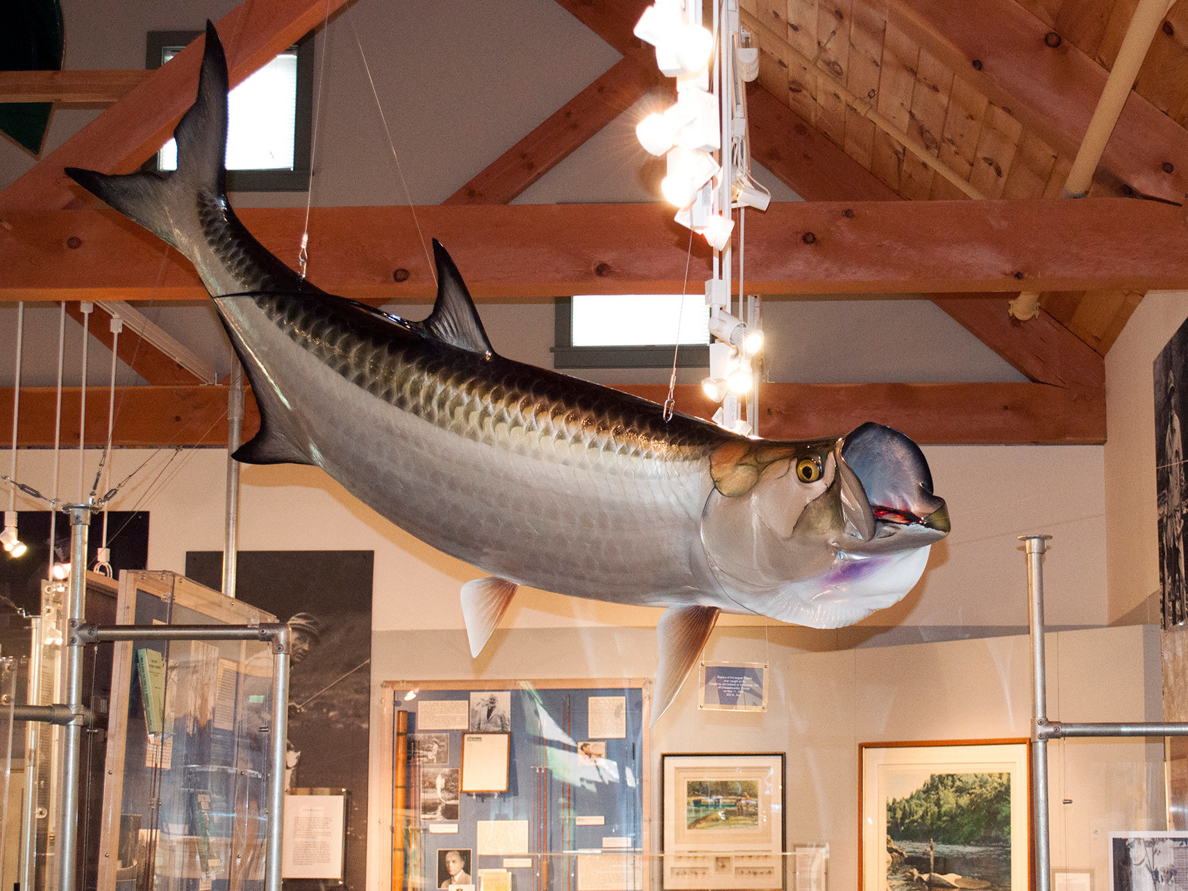 The American Museum of Fly Fishing accepts a collection of nearly