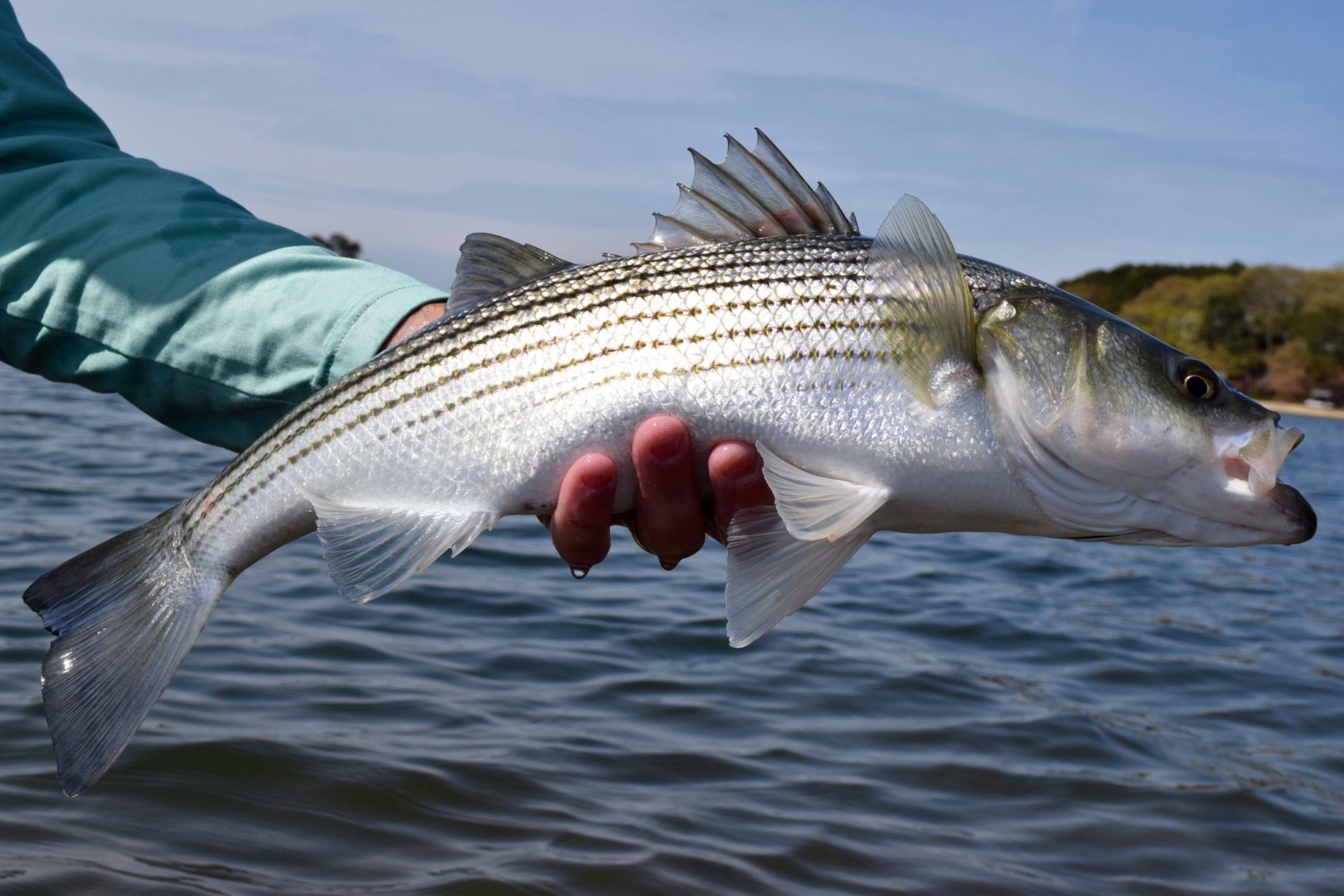 Battenkiller: A Look Back to the Battenkill in the '70s - American Museum  Of Fly Fishing