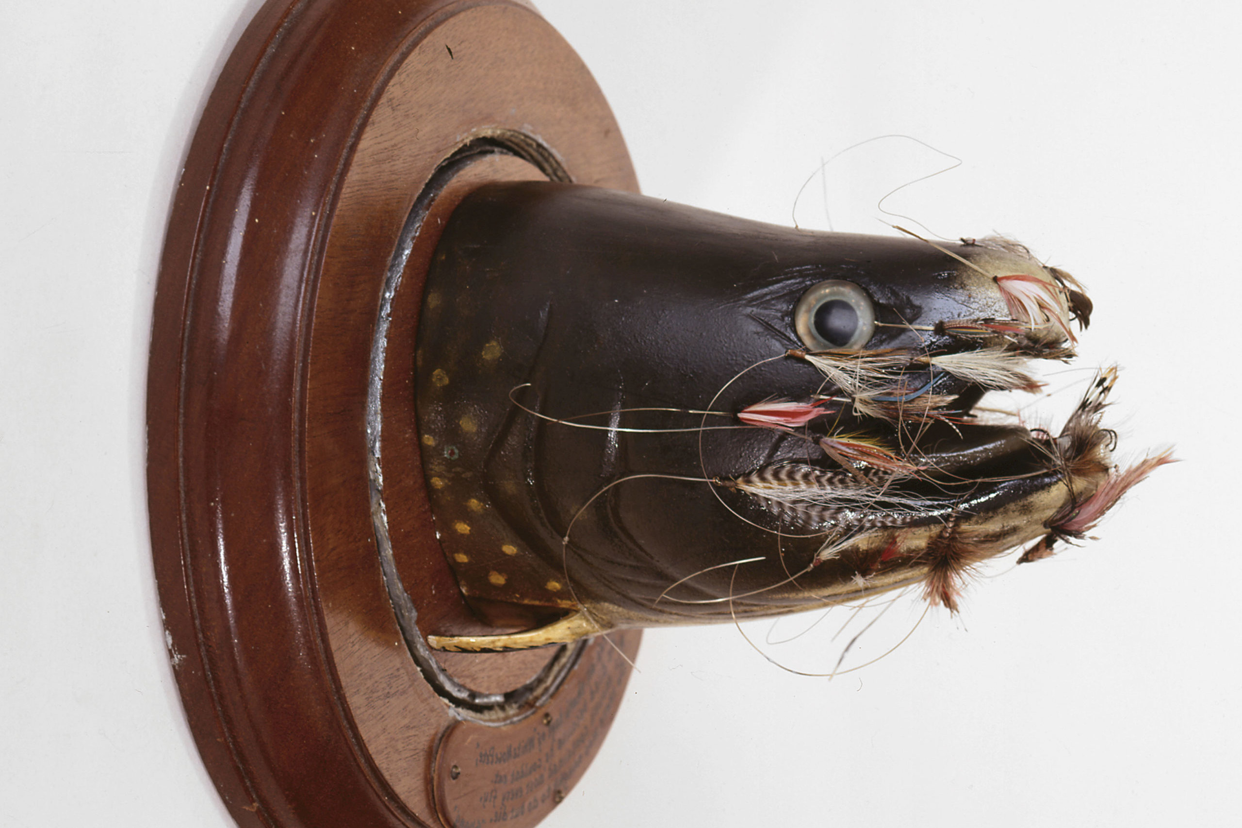 A carving of a brook trout from the gills to the nose. Various flies are hooked around the entirety of the mouth.