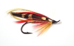 A salmon fly dominated by reds and yellows.