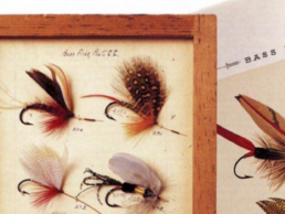 A closeup of four large fishing flies mounted on a wood-framed board. Across the top of the board is, 