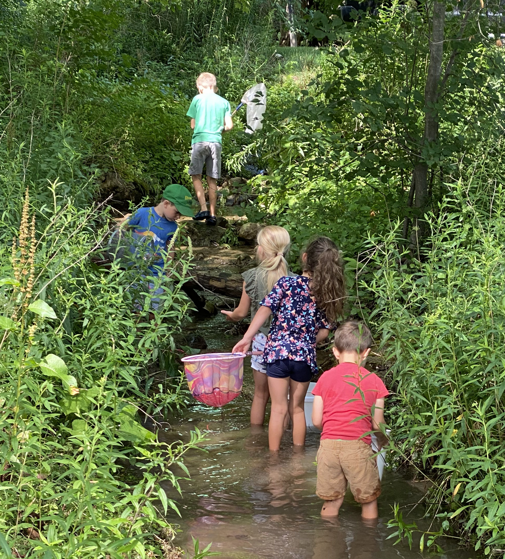 Three boys and two girls, some holding nets, explore a small stream.
